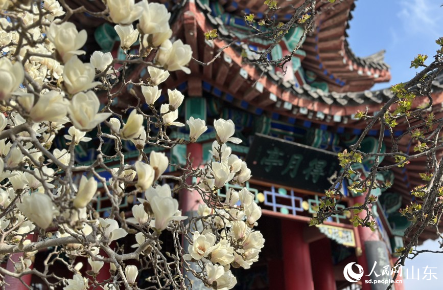 春染明湖 繁花入画_fororder_002