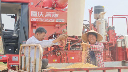 从田间到车间的丰收“接力”——山东夏季农业生产见闻