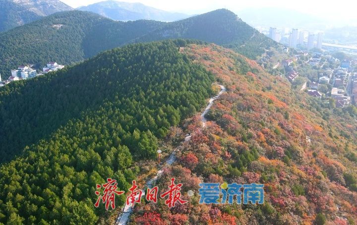 渐入佳境，济南版“鸳鸯火锅”将迎来红叶最美时节