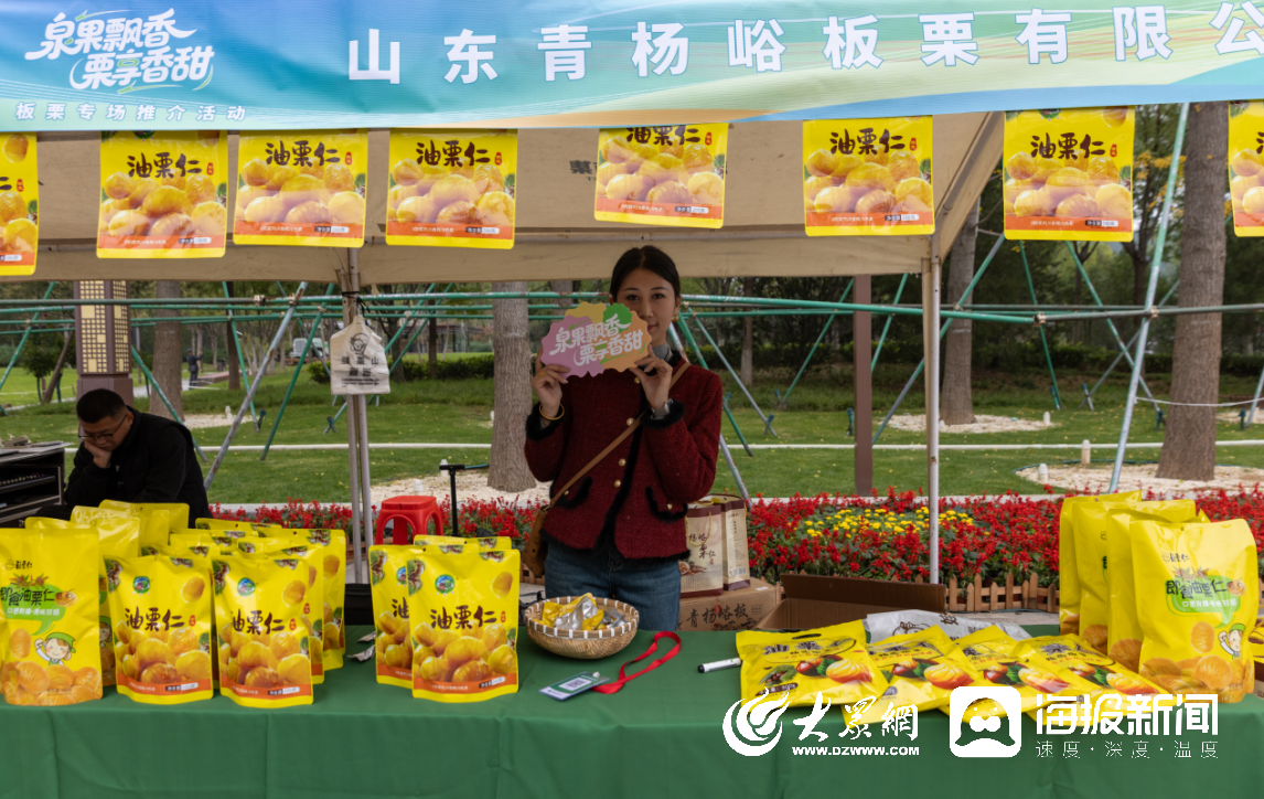 金秋栗香浓，产业促振兴，“泉果飘香 栗享香甜”板栗专场推介活动成功举办