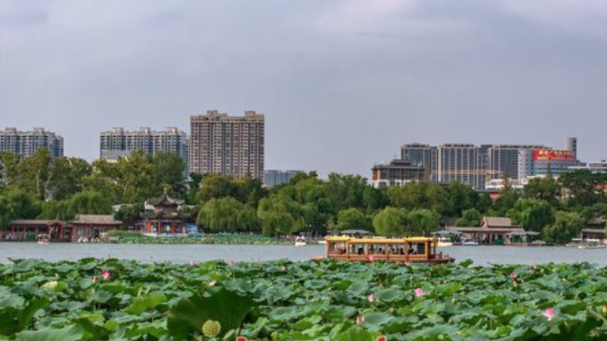 大明湖秋日荷塘：藏着泉城的专属诗意