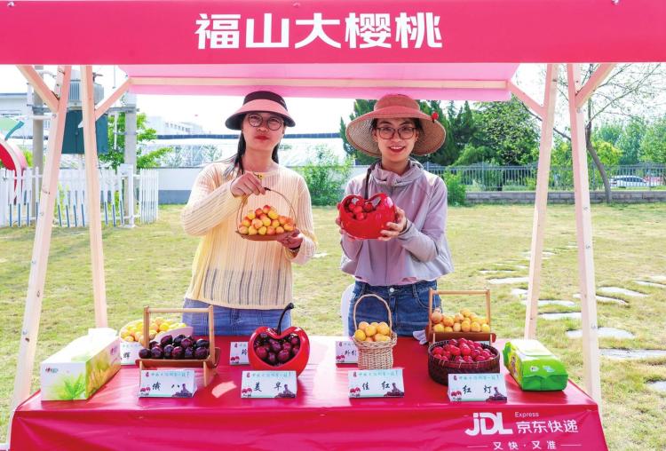 烟台大樱桃从枝头到舌尖，鲜味直达全国