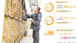 山东全链条发力抢收抢烘：人歇机不歇，晒场可共享