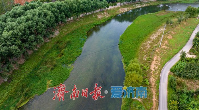初秋济南玉符河畔：水清草盛景如画