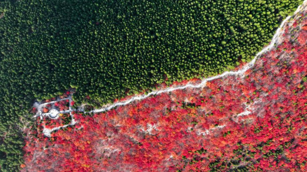 山东济南：“平分秋色”蝎子山