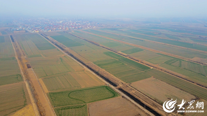 黄河口好“丰”景丨春日田管忙 沃野绘“丰”景_fororder_【东营】1