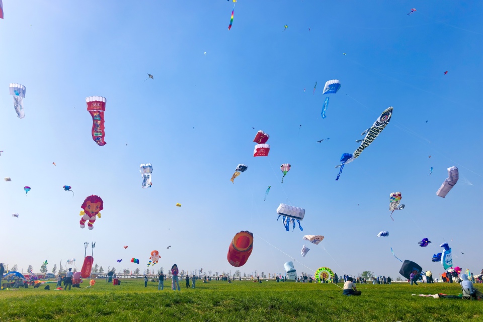 漫天纸鸢竞潍坊——2026潍坊风筝嘉年华掠影_fororder_013