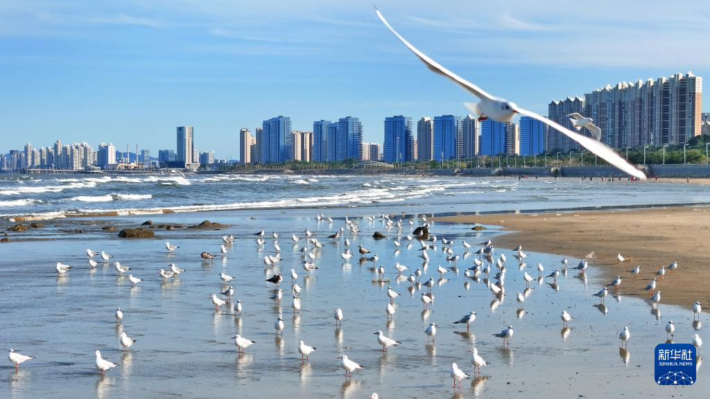 山东扎实推进美丽海湾建设