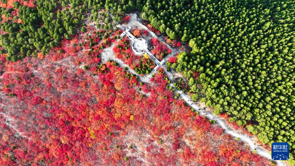 山东济南：“平分秋色”蝎子山