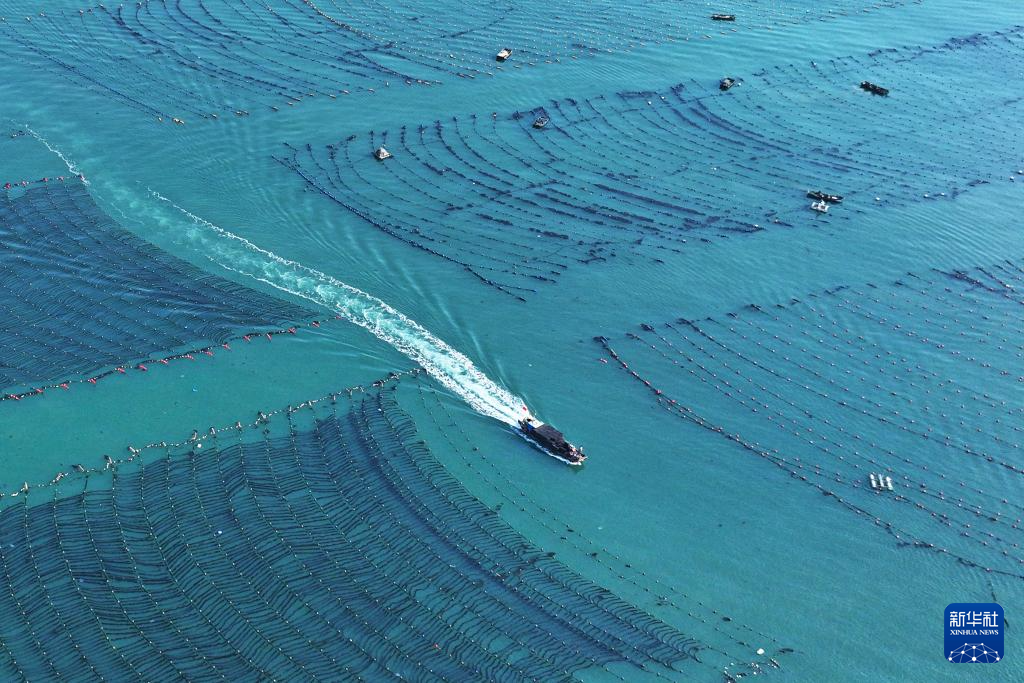 四中全会精神在基层｜山东：耕海牧渔充盈“蓝色粮仓”