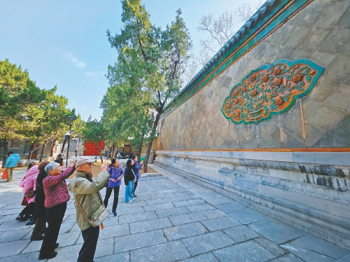 济南:在城市的一角 捕捉春意生机