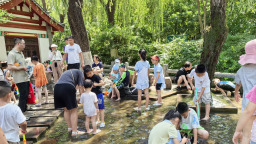 趵突泉暑期变身“清凉乐园” 亲子戏水享泉城夏日