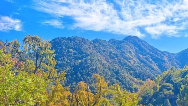 风入泰山染层峦 一山秋色醉人间