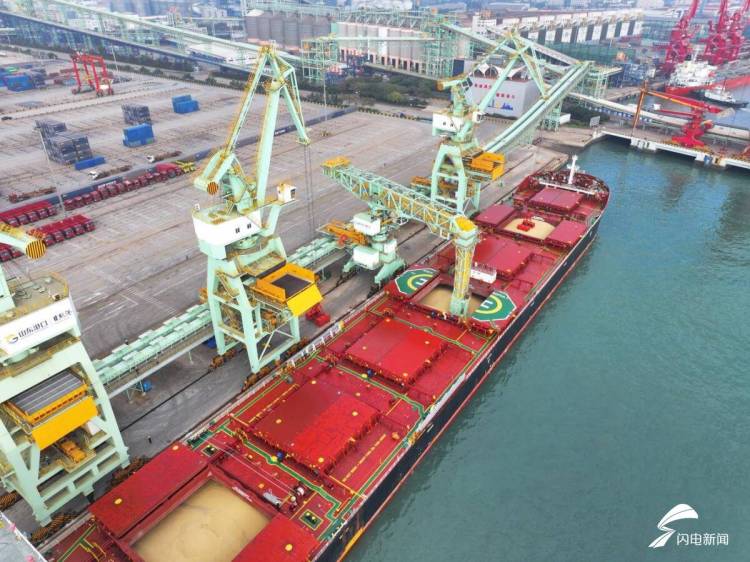 牢记嘱托 逐梦深蓝 | 日照：向新向绿向智 港城全面提档升级