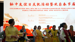 二十四节气鲁锦马面裙亮相“秘中友谊日”活动 展现中华文化魅力