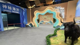 山东省科技馆推出“黄河地理生态科普展和神秘海洋专题展”