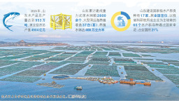 山东：让辽阔海洋变“蓝色粮仓”