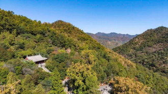 风入泰山染层峦 一山秋色醉人间