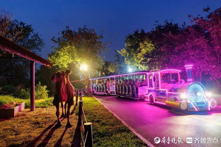 夜探“百兽秘境”！济南野生动物世界开启奇幻夜游