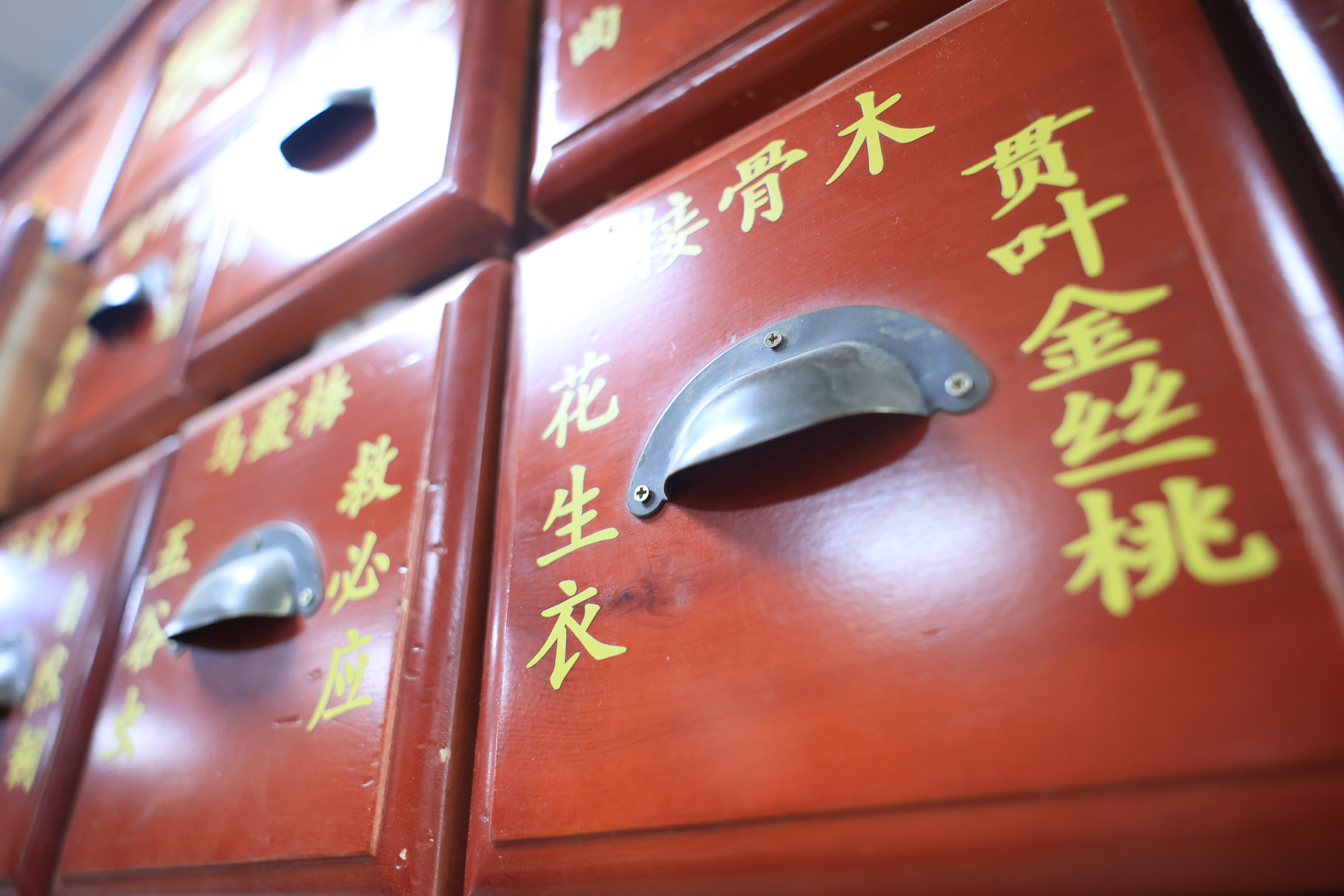 走读山东·感知济南 |“扁鹊故里悠游、春令和合共生”——外籍留学生在济南沉浸式体验中医药文化魅力