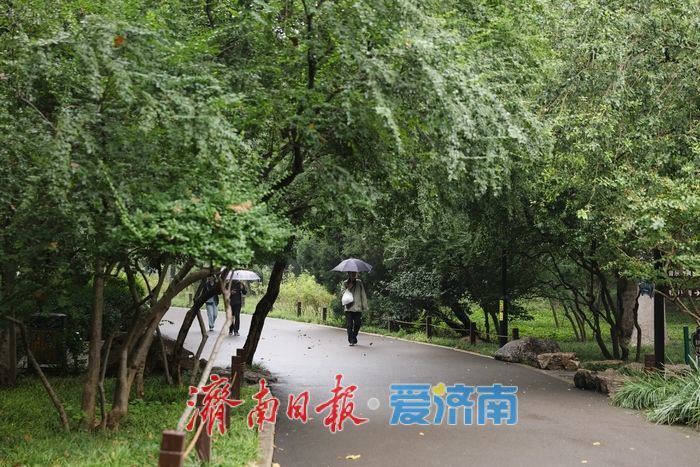 细雨如丝，济南百花公园秋意朦胧