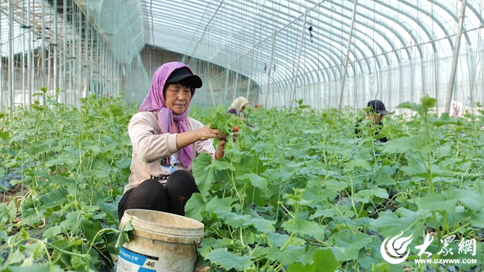 黄河口好“丰”景丨春日田管忙 沃野绘“丰”景_fororder_【东营】3
