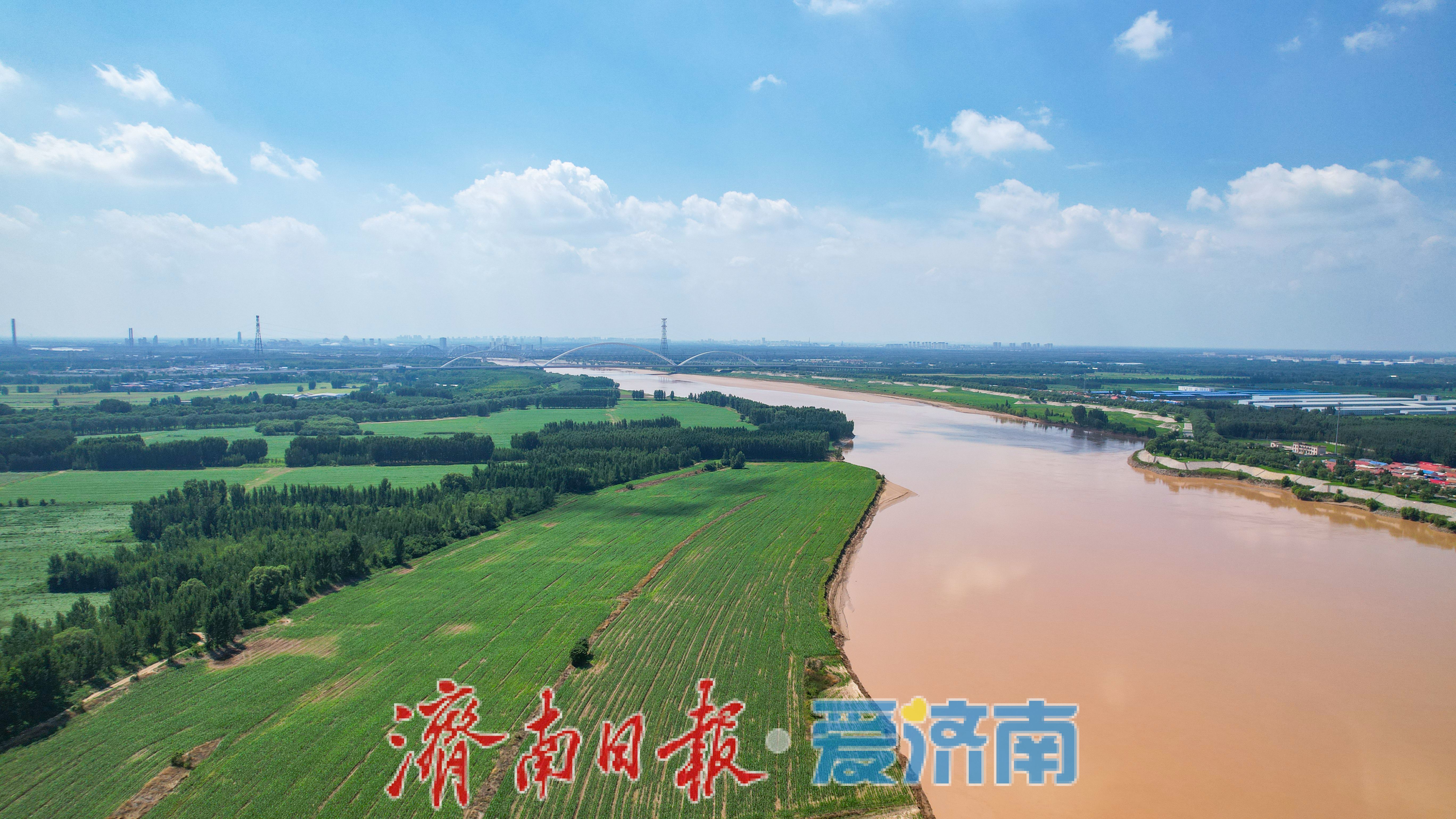 济南黄河美景如画,生态廊道尽显泉城魅力