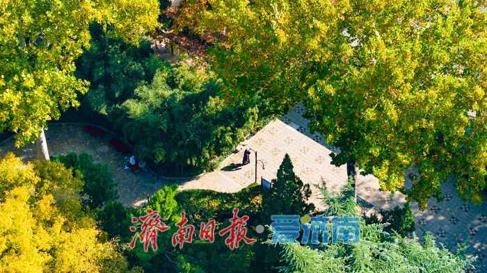 百年园林景如画:济南中山公园开启最美赏叶季