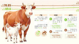 从餐桌到牧场，山东牛羊肉价格再创年内新高