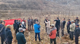 烟台栖霞市启动“果业技术进乡村”系列活动，科技引领苹果产业转型升级