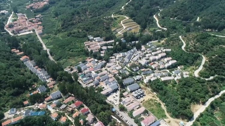 山东淄博：激活林业资源 赋能乡村振兴