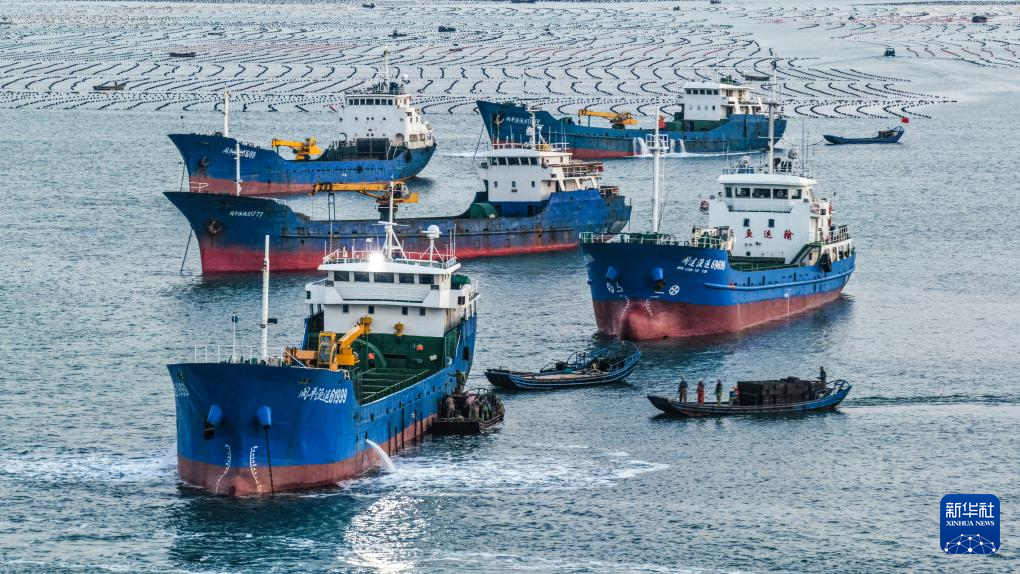 四中全会精神在基层｜山东：耕海牧渔充盈“蓝色粮仓”