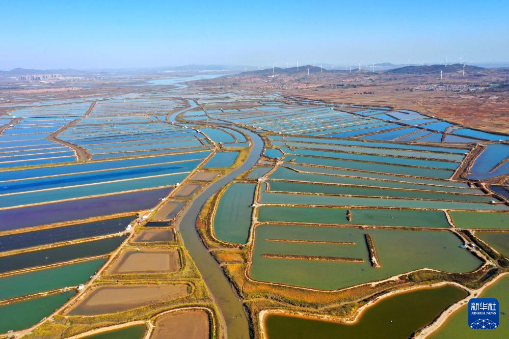 四中全会精神在基层｜山东：耕海牧渔充盈“蓝色粮仓”
