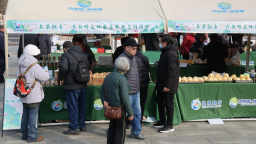 第二届济南特色林果嘉年华启幕