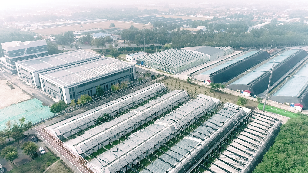 粮仓丰、产业强、乡村美——从“乡村振兴齐鲁论坛2025”看山东农业农村现代化新进展