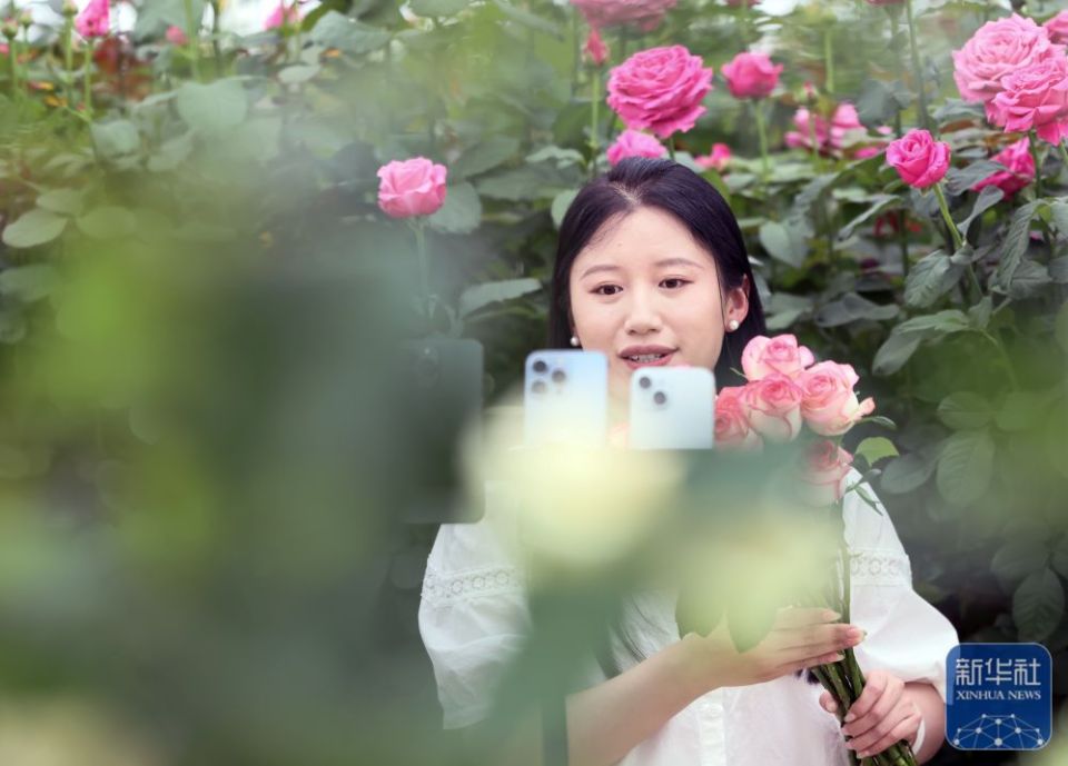 山东莒县：发展鲜切花产业 点亮“美丽经济”