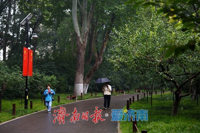 细雨如丝，济南百花公园秋意朦胧