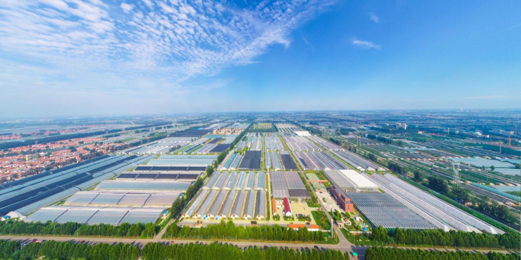 外国友人第一次体验济南烧烤，然后被圈粉了。帮想几句新媒体标题，要有趣的_fororder_【寿光】5