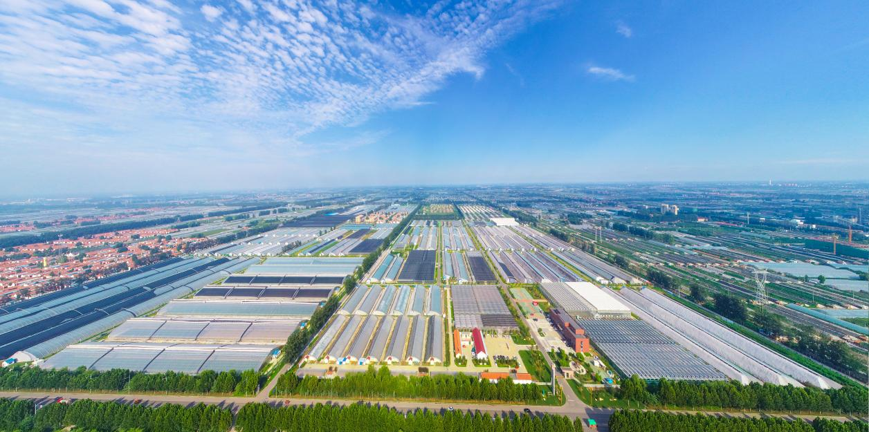 外国友人第一次体验济南烧烤，然后被圈粉了。帮想几句新媒体标题，要有趣的_fororder_【寿光】5