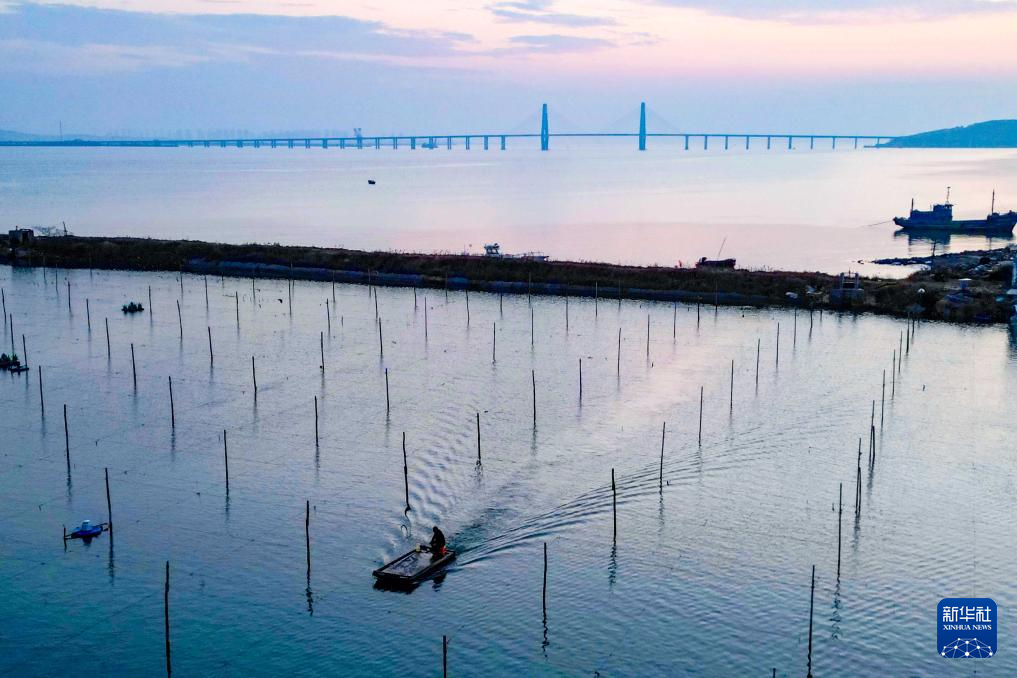 四中全会精神在基层｜山东：耕海牧渔充盈“蓝色粮仓”