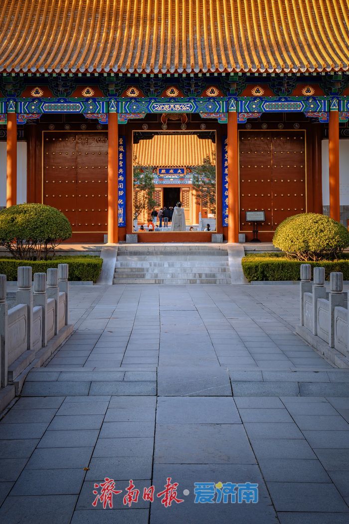 银杏金黄映红墙，济南府学文庙尽显秋韵