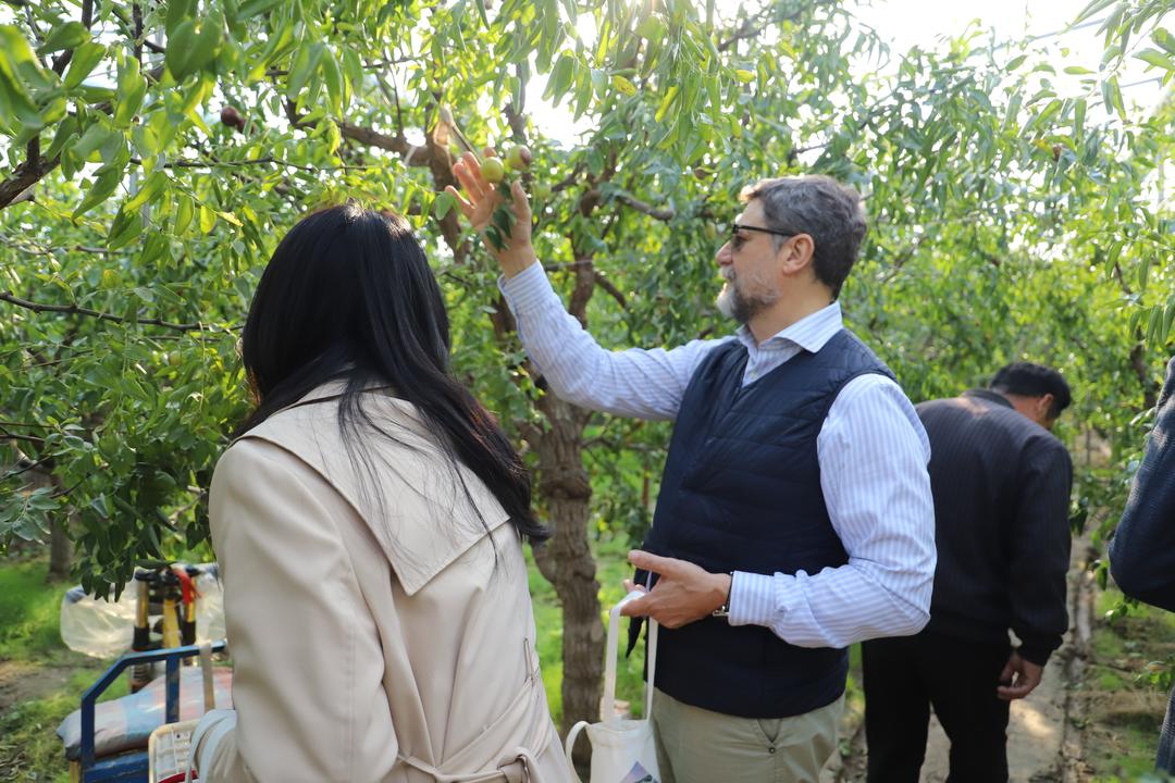 外国驻华签证官“山东行”活动在滨州成功举办