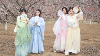 第二十三届杏花季在济南长清启动