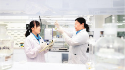 创新沃土之上的东营“丰收图景”