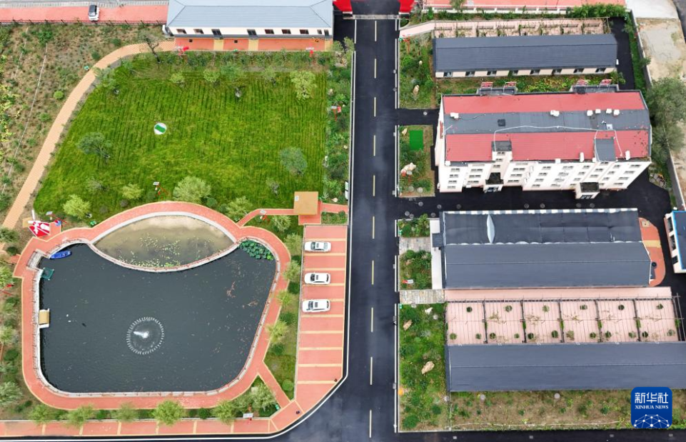 山东青岛：盘活闲置土地 助力乡村振兴