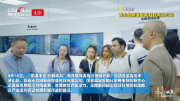 【Hi,Shandong】芯片破局零碳创新 看青岛数智产业突围（视频）_fororder_ScreenShot_2026-08-12_110018_253