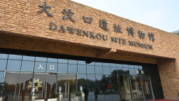 沿着黄河遇见海｜大汶口遗址：黄河下游的文明曙光