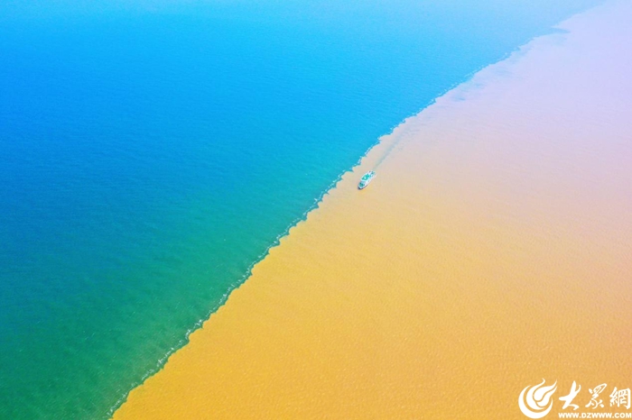 新征程·看东营丨黄河入海处的“十四五”答卷与“十五五”远征