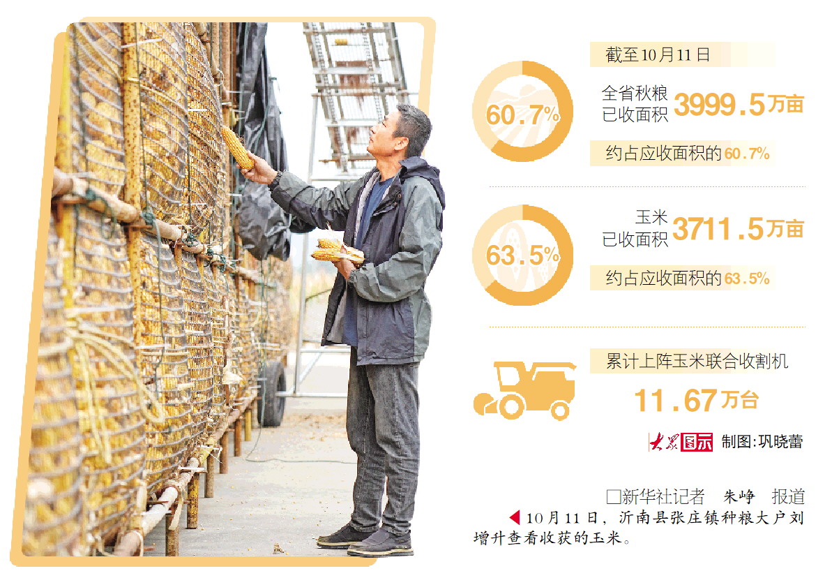 山东全链条发力抢收抢烘：人歇机不歇，晒场可共享_fororder_02_02_1369