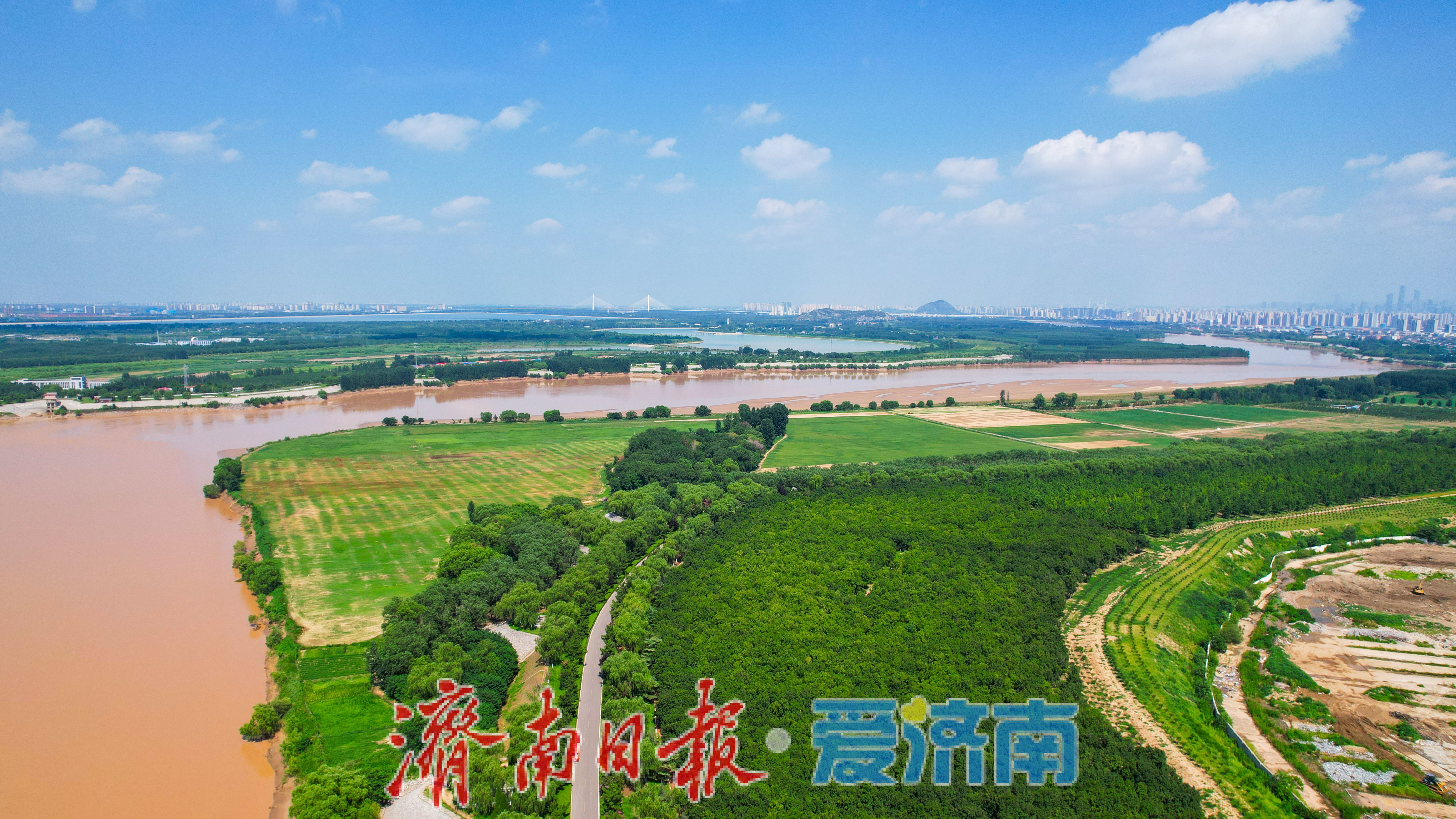 济南黄河美景如画,生态廊道尽显泉城魅力